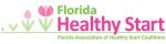 The Florida Association Of Healthy Start Coalitions Fahsc A Statewide Association That
